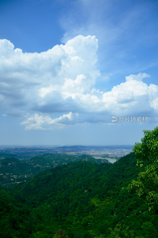 山中的风景