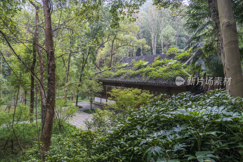 杭州三台山留馀山居风景