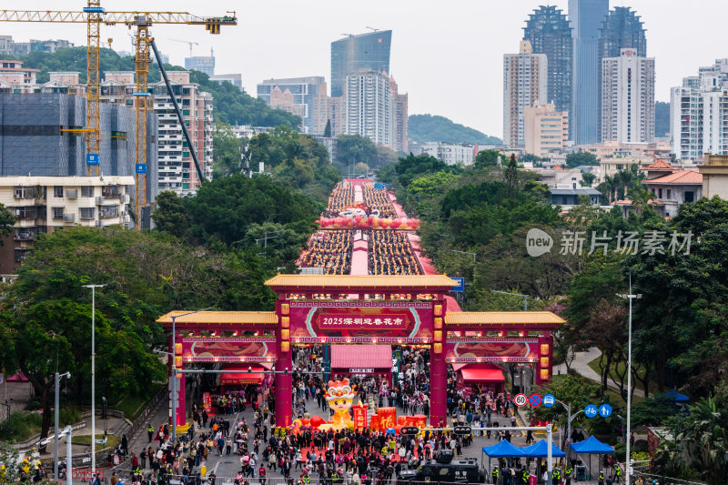 深圳花市爱国路花市