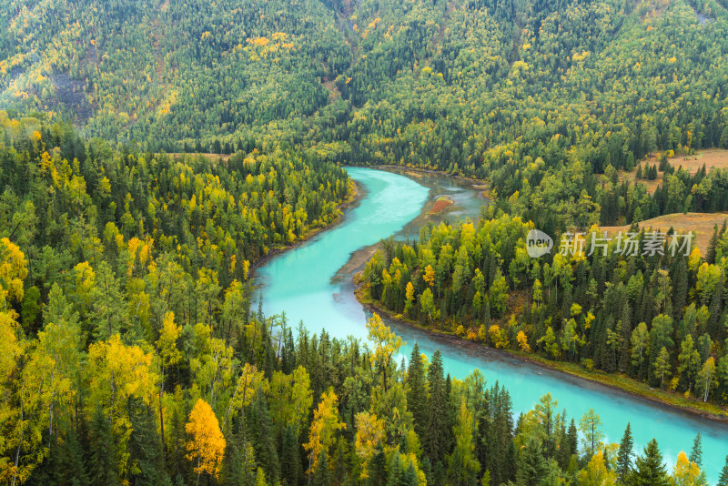 航拍新疆喀纳斯月亮湾秋景