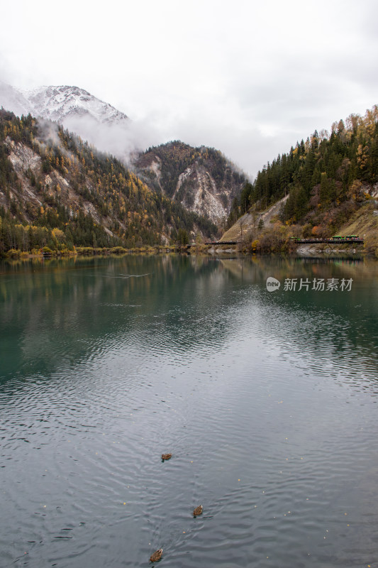 九寨沟秋色，箭竹海