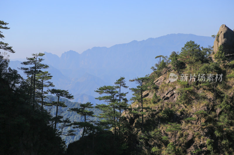 山峰 山脉 山峦 松树