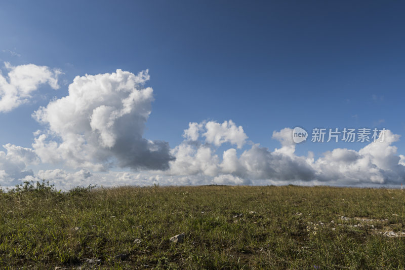 草地蓝天白云自然风景图