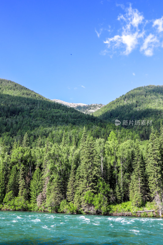 新疆阿勒泰喀纳斯森林河流自然风景旅游