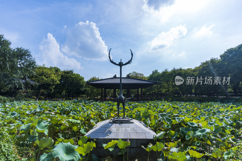 武汉蔡甸汤湖公园生态园林风景