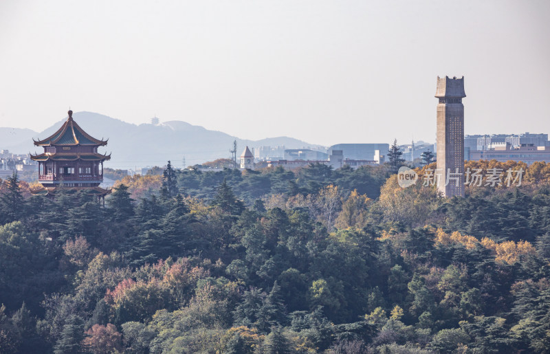 南京雨花台城市山林景观全景