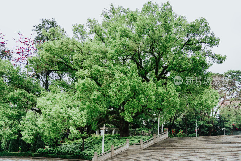 广州烈士陵园