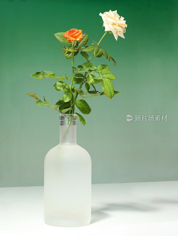 白色桌面上的一束插花玫瑰花
