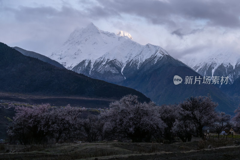 西藏林芝索松村南迦巴瓦峰雪山云海之巅