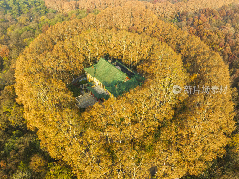 航拍秋季清晨南京中山陵风景区美龄宫