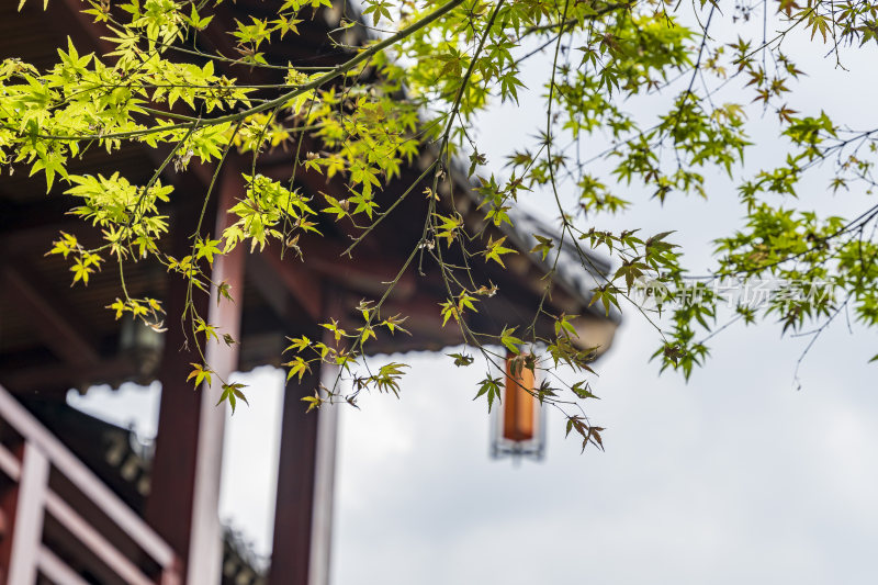 杭州拱墅区香积寺古建筑