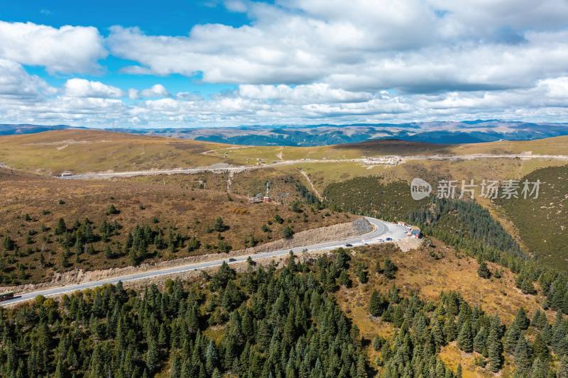 高原公路与山间松林