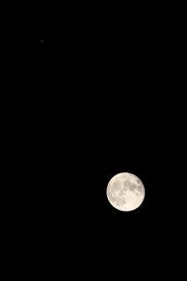 中秋的圆月亮