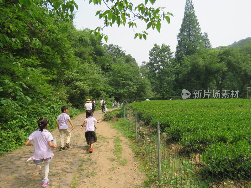 杭州九溪烟树景区