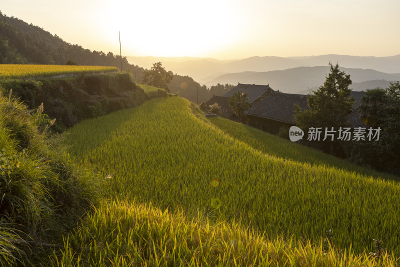 贵州黔东南堂安侗寨梯田风光航拍