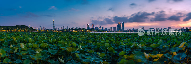 南京玄武湖与城市天际线日落