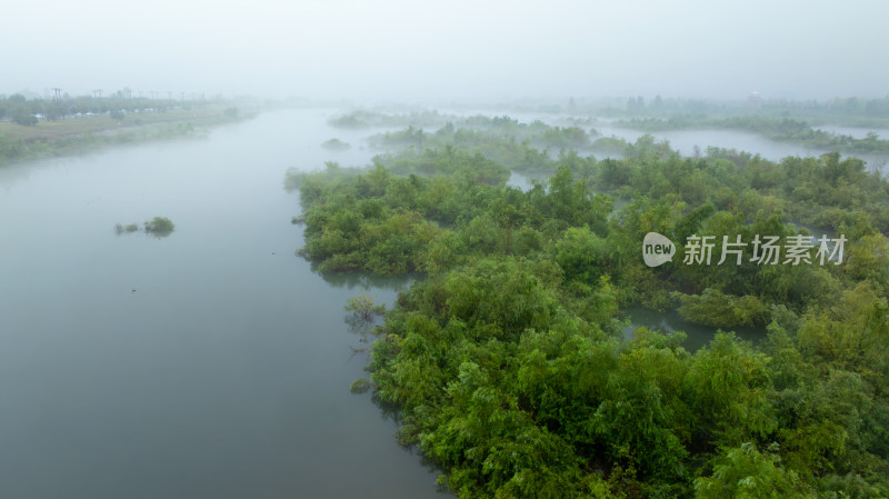 河流湿地雨雾朦胧自然风景