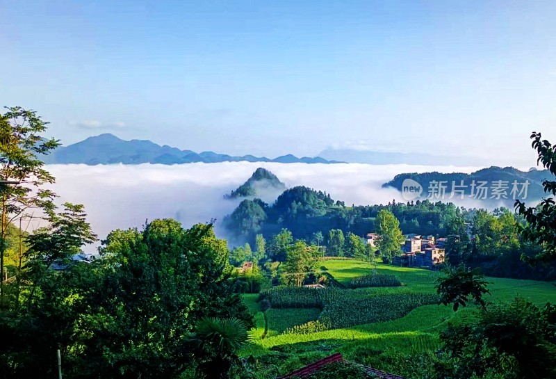 重庆酉阳：近秋的清晨