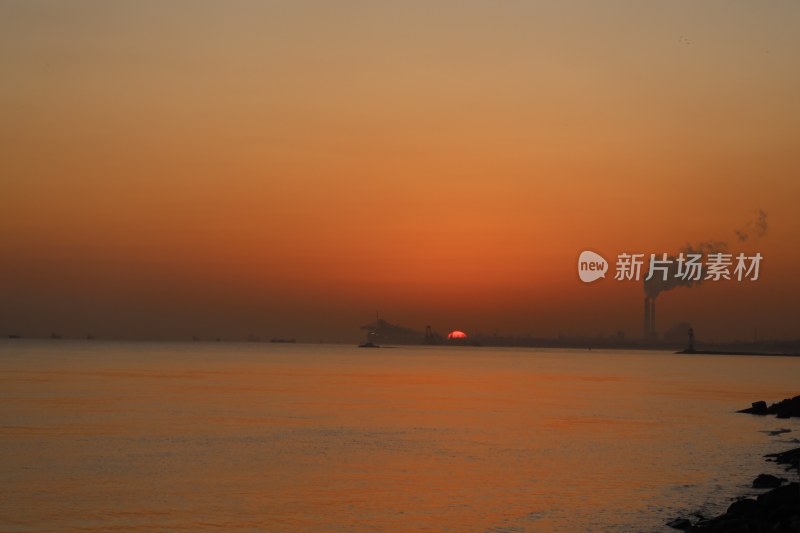 上海吴淞炮台湾湿地森林公园日出