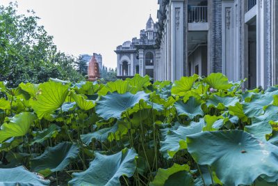 武汉欧式哥特异域风格古德寺佛教寺院