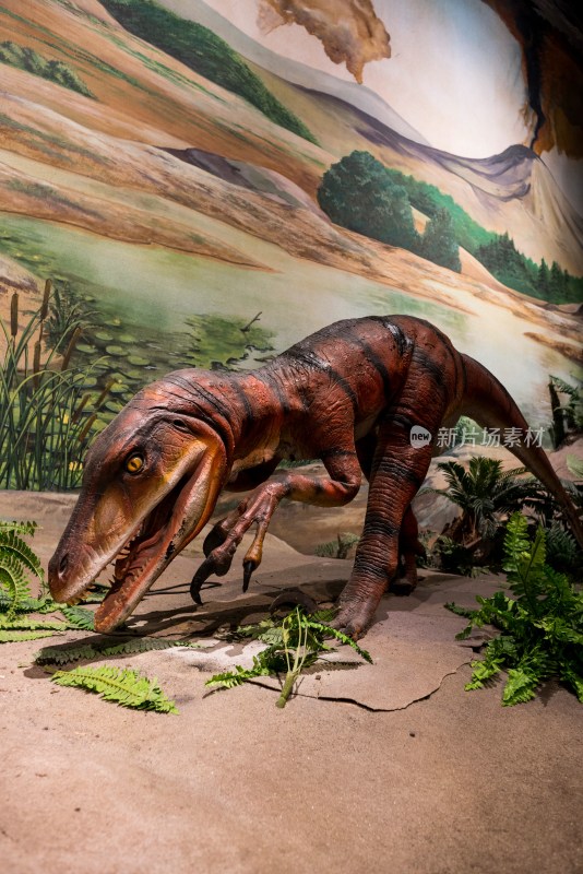 西雅图太平洋科学中心的恐龙模型
