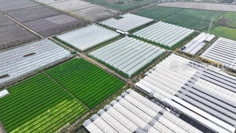 航拍农业大棚基地 农业产业乡村振兴