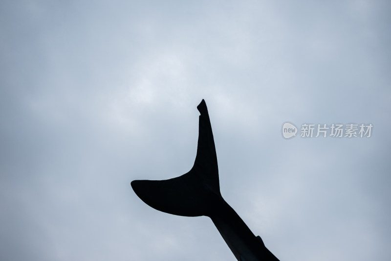 天空背景下的鲸鱼尾鳍雕塑剪影