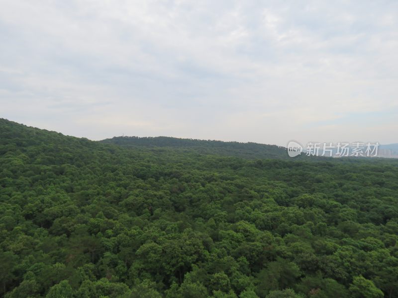 南京紫金山灵谷寺风景区