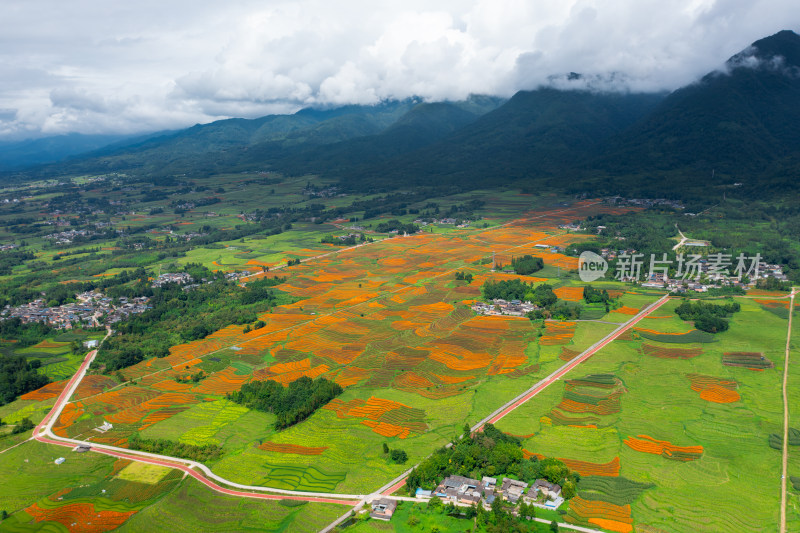 山间多彩梯田与村落的航拍全景