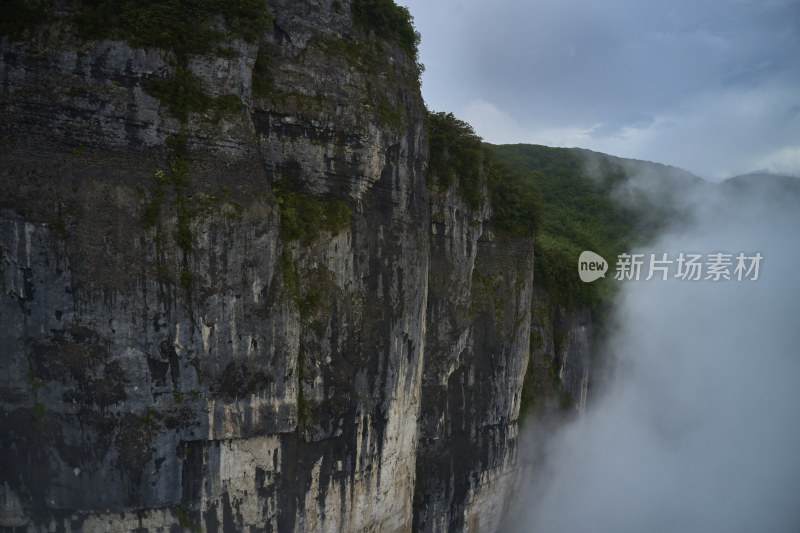 云海中的金佛山