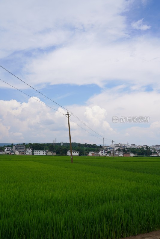 田野乡村与远山风景