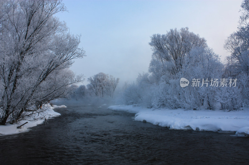 冬日河岸雾凇雪景