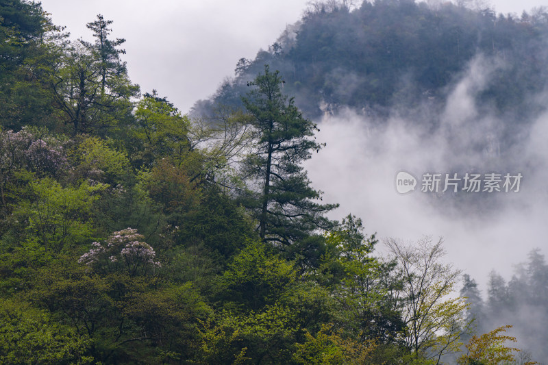 农村景象