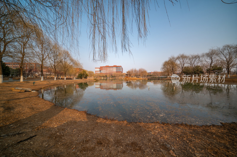 北京化工大学柳湖