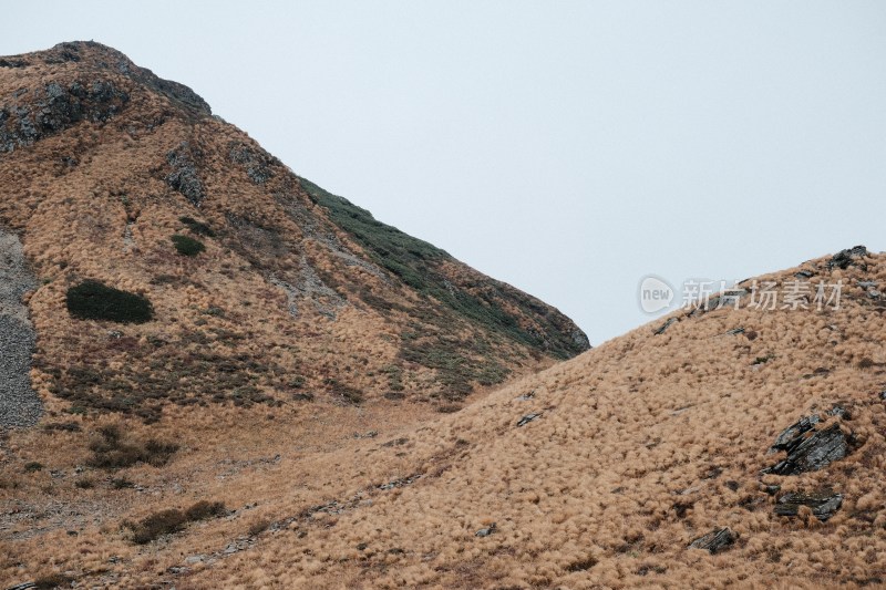 枯黄植被覆盖的山坡