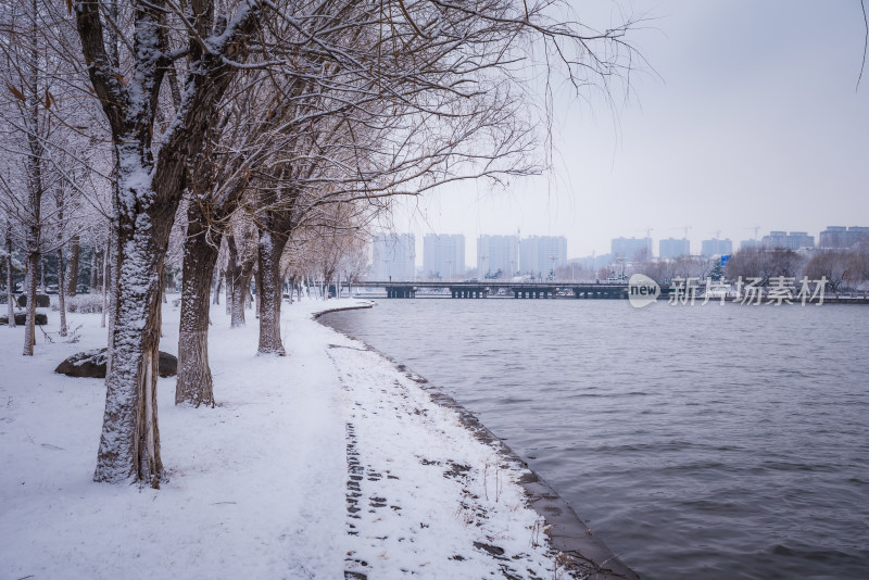 下雪了城市公园自然风景