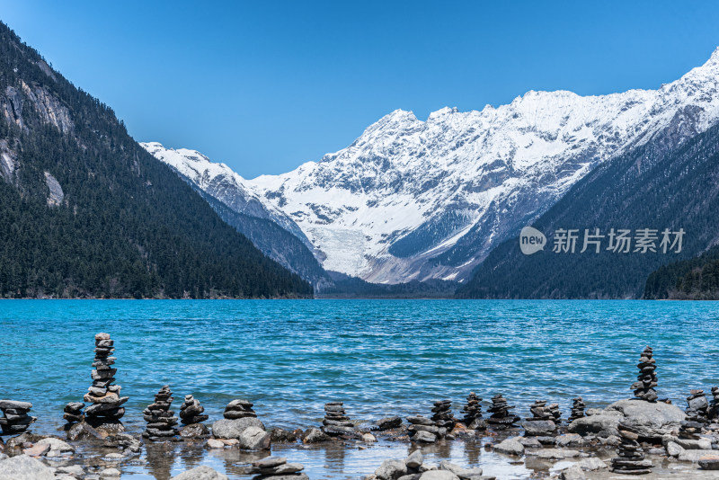 白雪皑皑的群山映衬下的湖景 西藏林芝新措