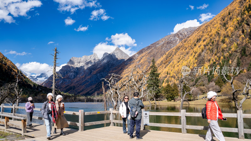 四川阿坝四姑娘山双桥沟景区的秋色正浓