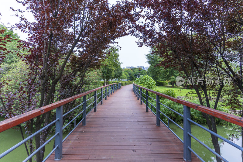 武汉汉阳月湖风景区风光