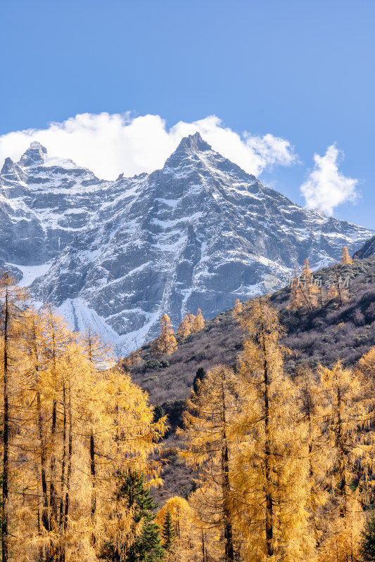 四川四姑娘山双桥沟景区秋天的雪山美景