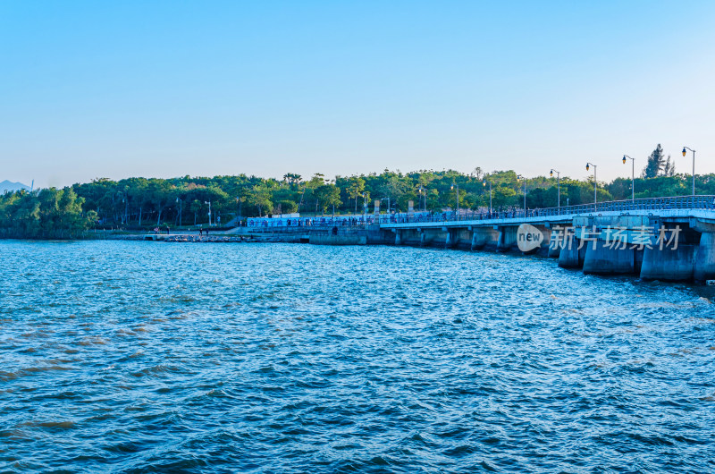 深圳湾滨海城市桥梁与公园景观