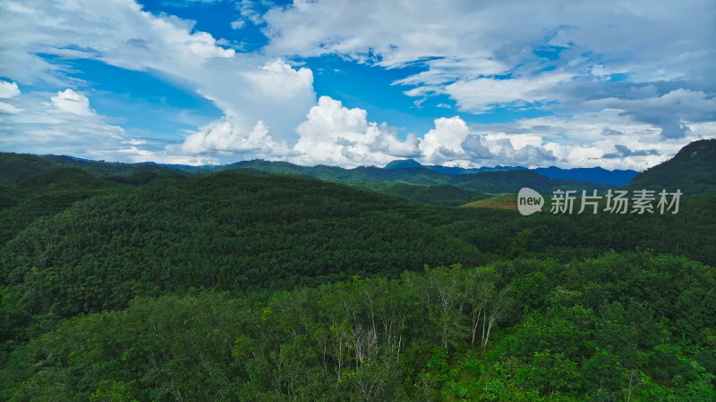 中科院西双版纳热带植物园