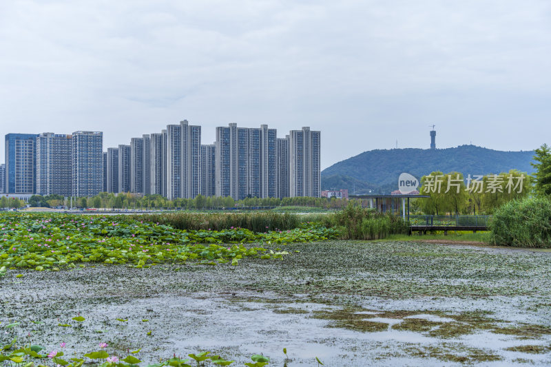 武汉江夏中央大公园风景