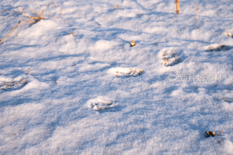 一片皑皑白雪