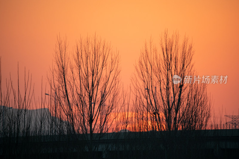 夕阳落日