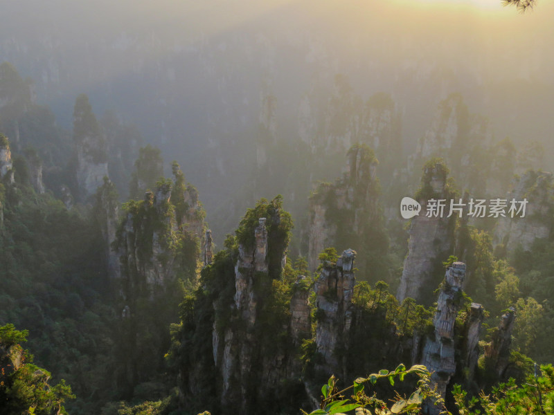 中国湖南张家界国家森林公园旅游风光