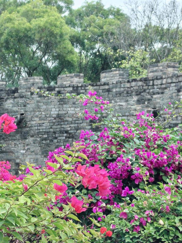 广州莲花山