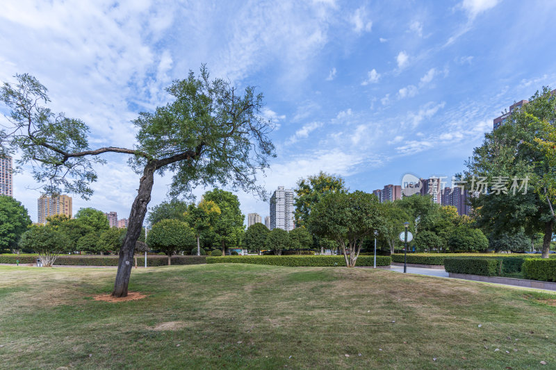 武汉江夏新世纪公园风景