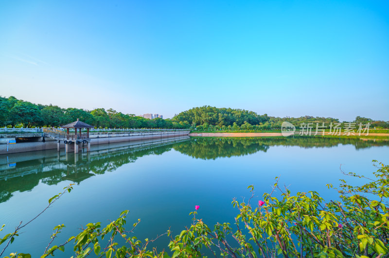 广州番禺金山湖文化公园湖泊树林自然风光