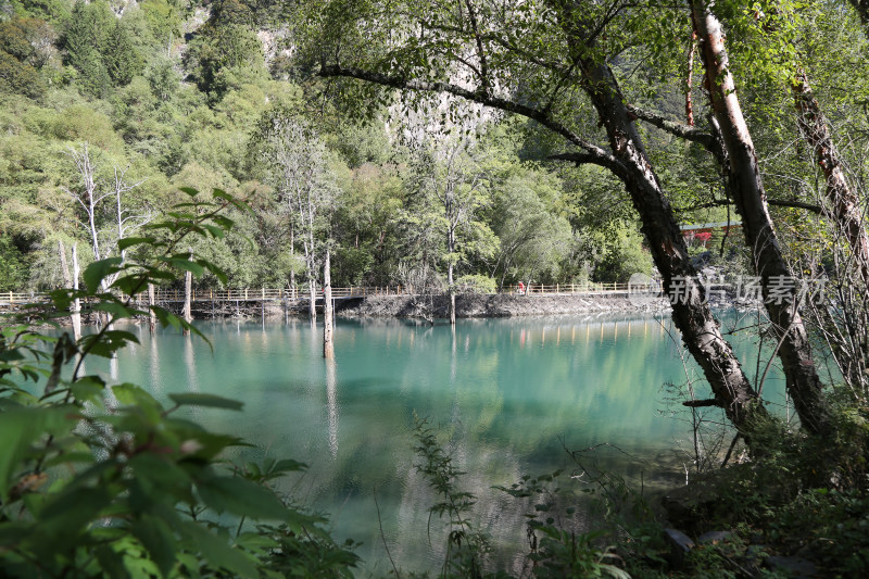 四川阿坝州茂县叠溪镇松坪沟景区风景